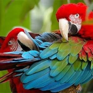 Meet your Posher, Katya